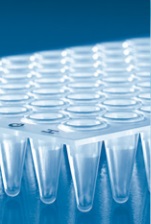 Microplaque PCR 96 puits incolore sans cadre profil bas